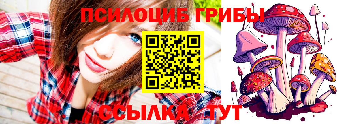 Псилоцибиновые грибы Magic Shrooms Дубна