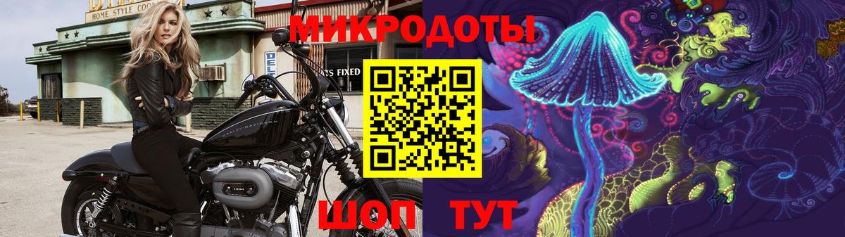 Галлюциногенные грибы GOLDEN TEACHER  Вход с VPN  Дубна  Галлюциногенные грибы Psilocybe 